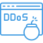 Anti-DDoS Protection